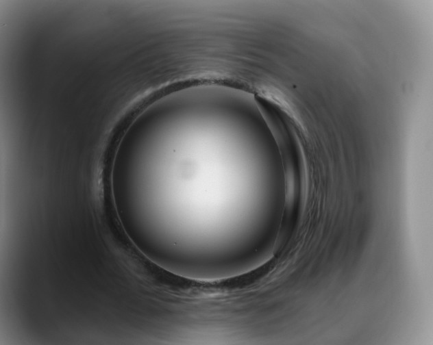 X0000088880676200706151812