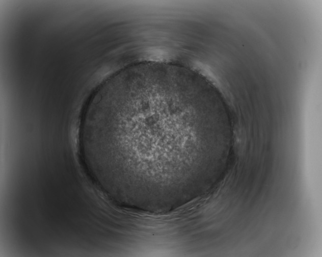 X0000088880679200706151812