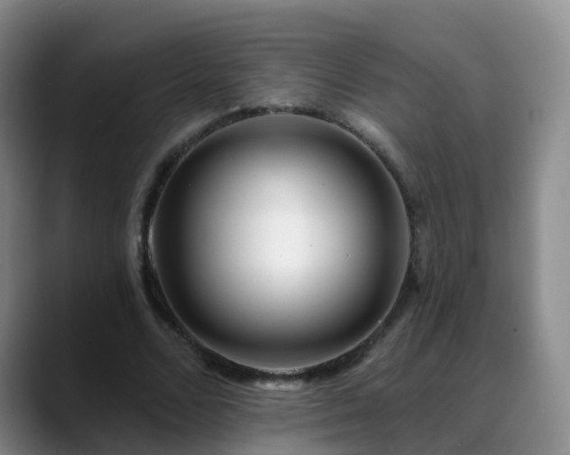 X0000088880680200706151812