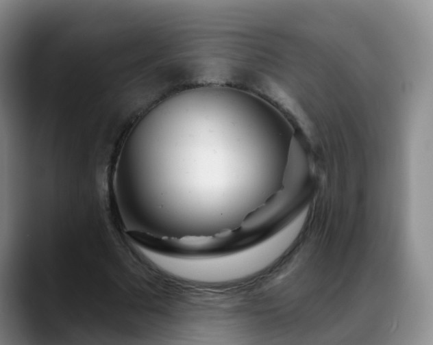 X0000088880681200706151812