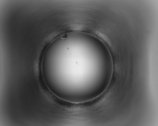 X0000088880682200706151812