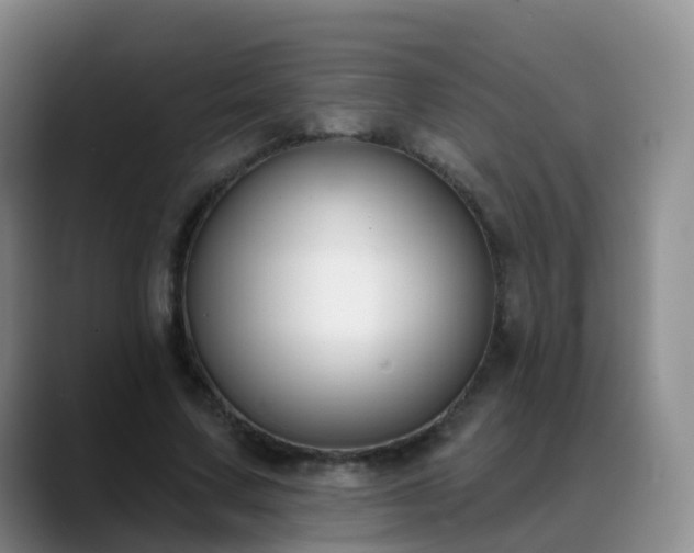 X0000088880683200706151812