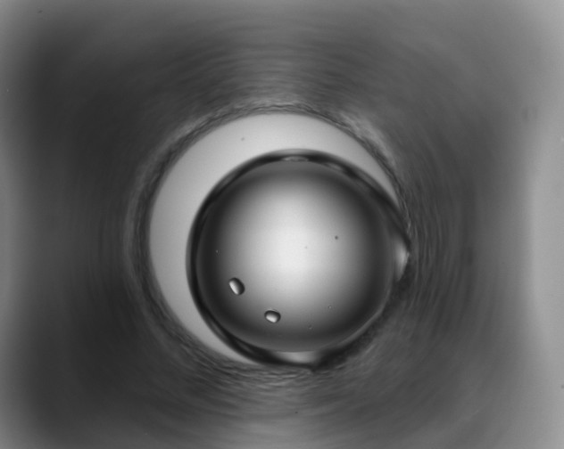 X0000088880684200706151812