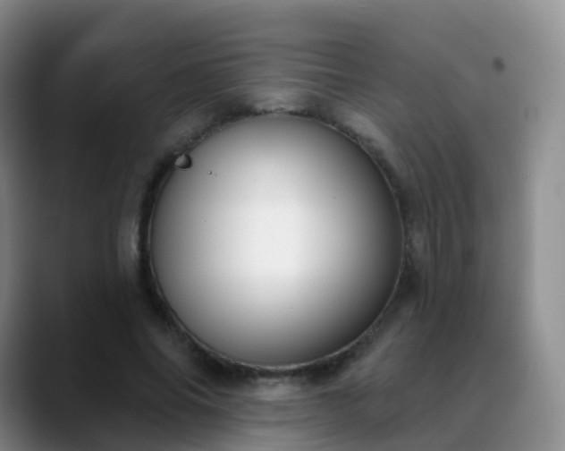 X0000088880686200706151812