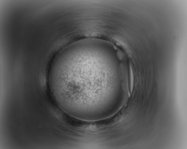 X0000088880687200706151812