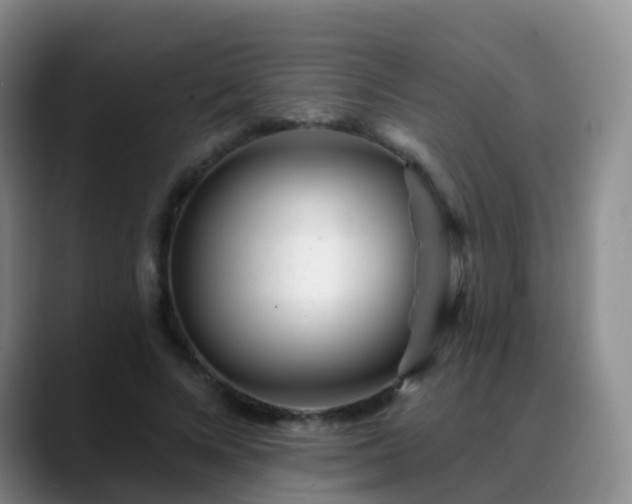 X0000088880688200706151812