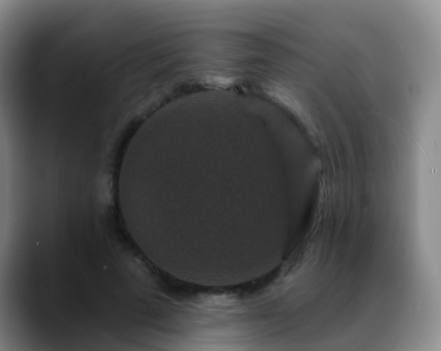 X0000088880689200706151812