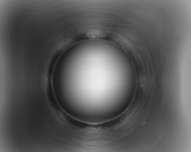 X0000088880690200706151811