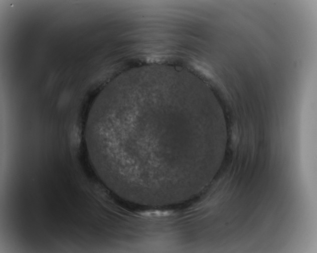 X0000088880691200706151811