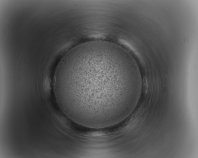 X0000088880692200706151811