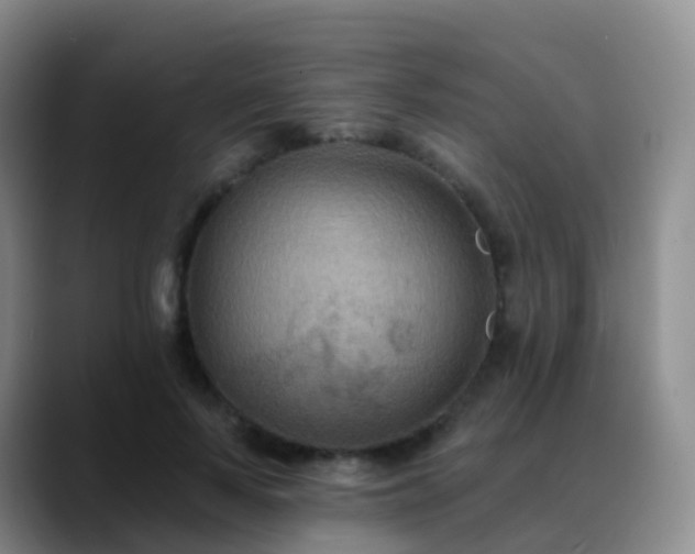 X0000088880695200706151811