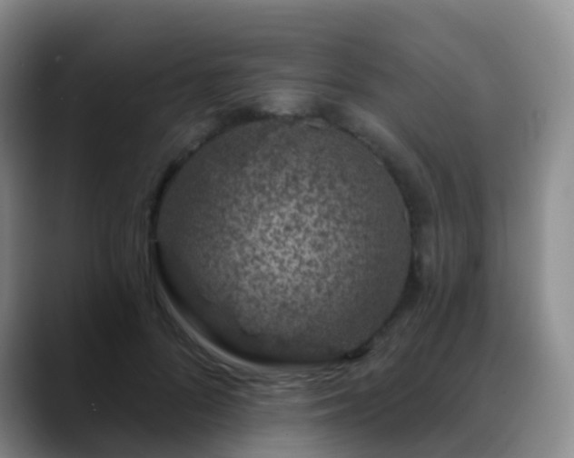 X0000088880696200706151811