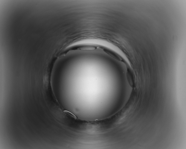 X0000088880697200706151811