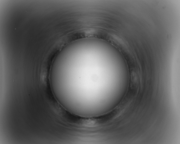 X0000088880698200706151811