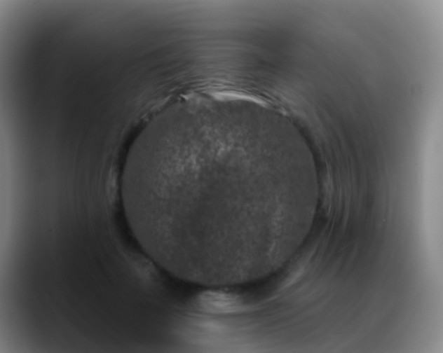 X0000088880699200706151811