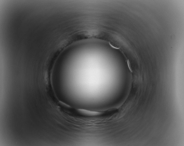 X0000088880700200706151811