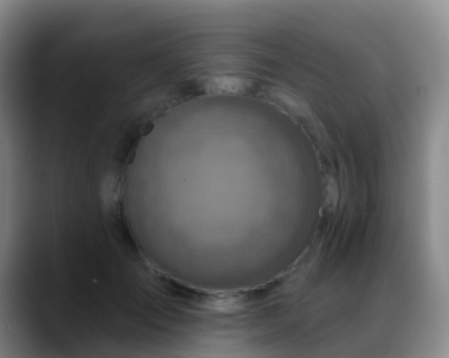 X0000088880701200706151811