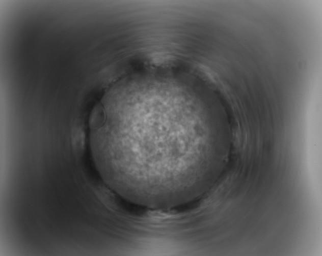 X0000088880703200706151811