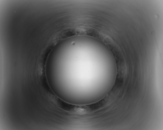 X0000088880706200706151811