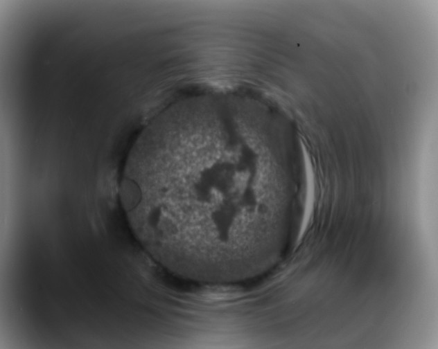 X0000088880707200706151811