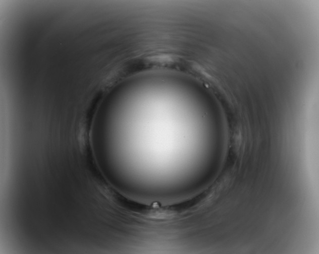 X0000088880708200706151811