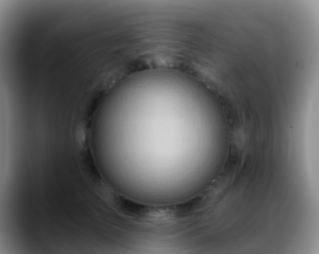 X0000088880709200706151811