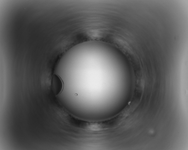 X0000088880710200706151811