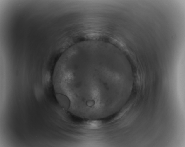 X0000088880711200706151811