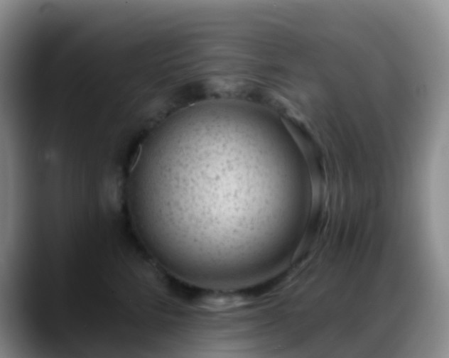 X0000088880712200706151811