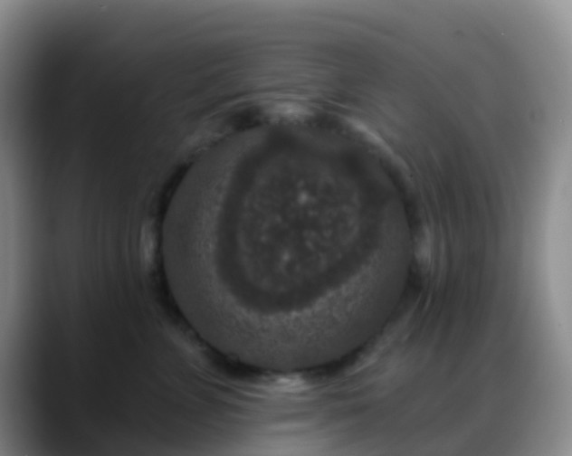 X0000088880715200706151811