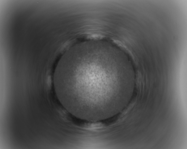 X0000088880716200706151811