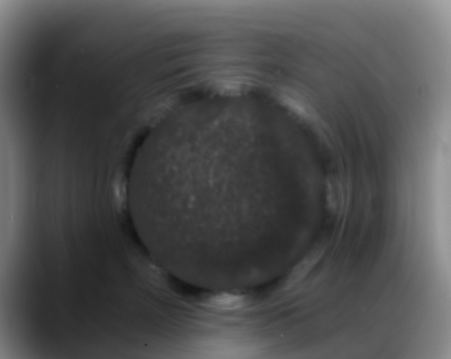 X0000088880718200706151811