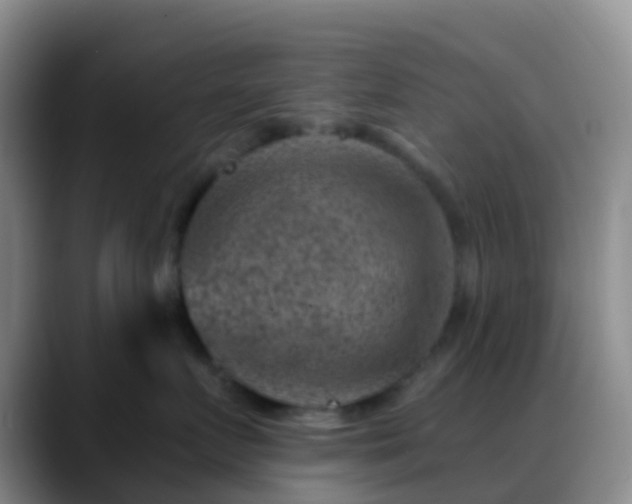 X0000088880719200706151811