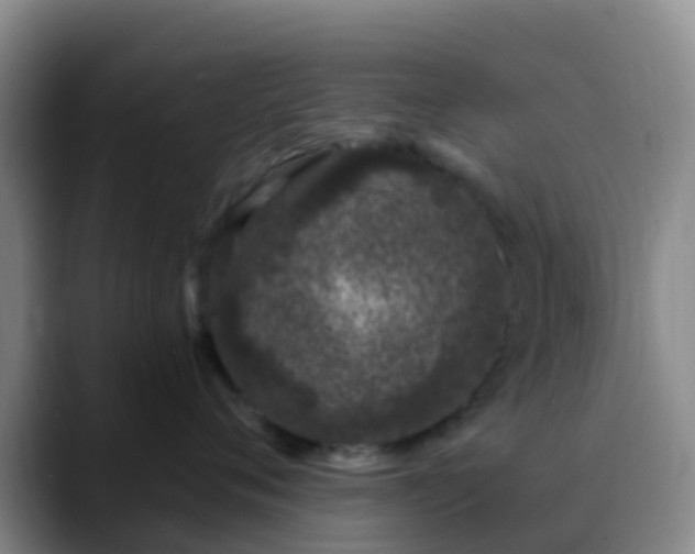 X0000088880720200706151811