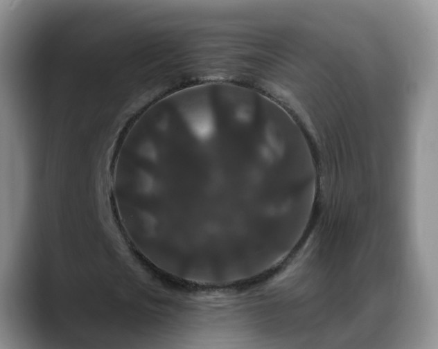 X0000088880721200706151811