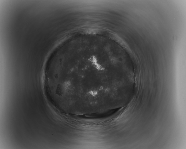 X0000088880722200706151811