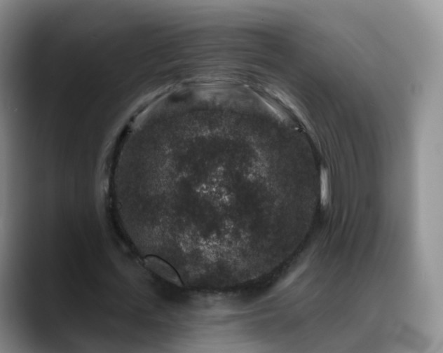 X0000088880723200706151811