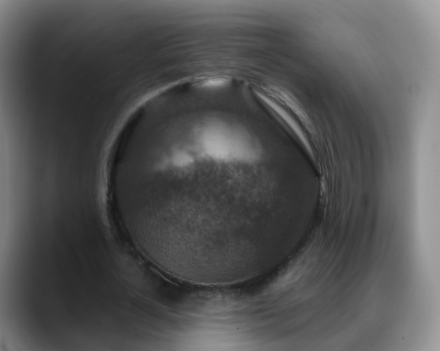 X0000088880724200706151811