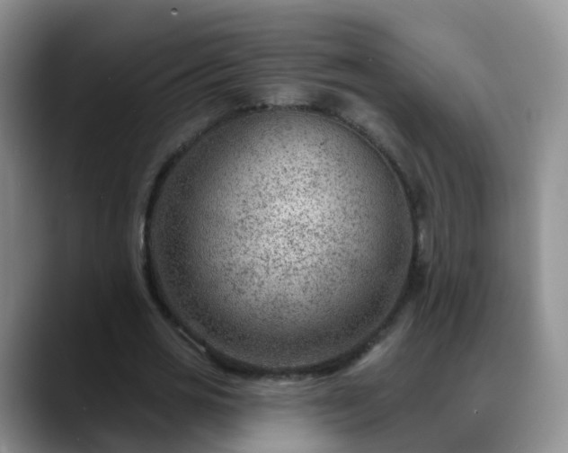 X0000088880725200706151811