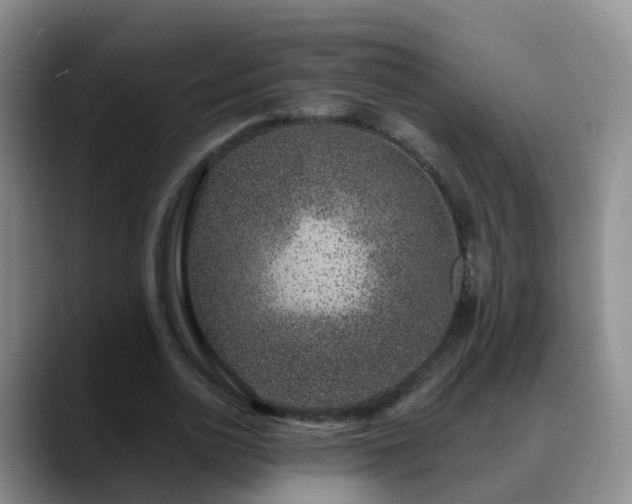 X0000088880726200706151811