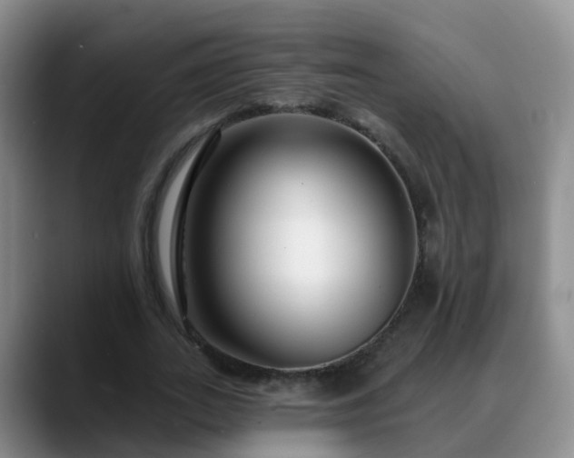 X0000088880727200706151811