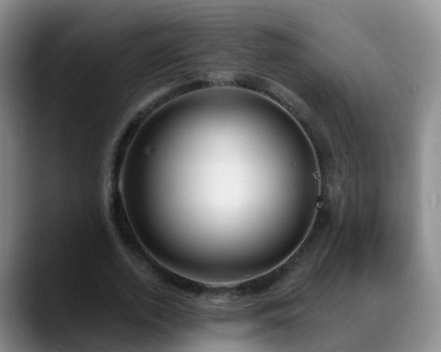 X0000088880728200706151811