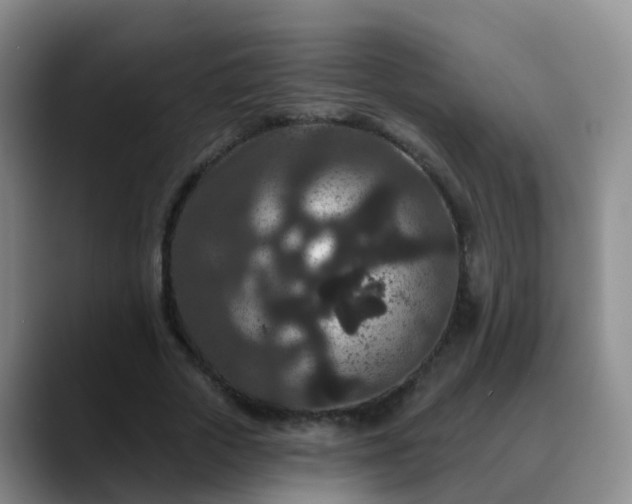 X0000088880729200706151811