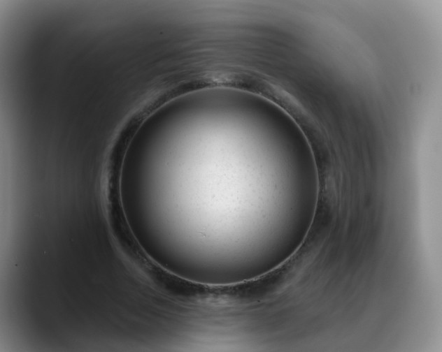 X0000088880730200706151811