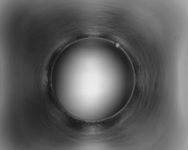 X0000088880731200706151811