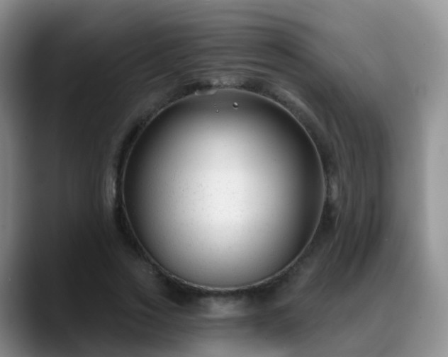 X0000088880733200706151811