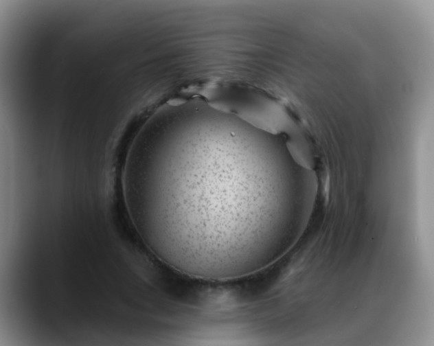 X0000088880735200706151811