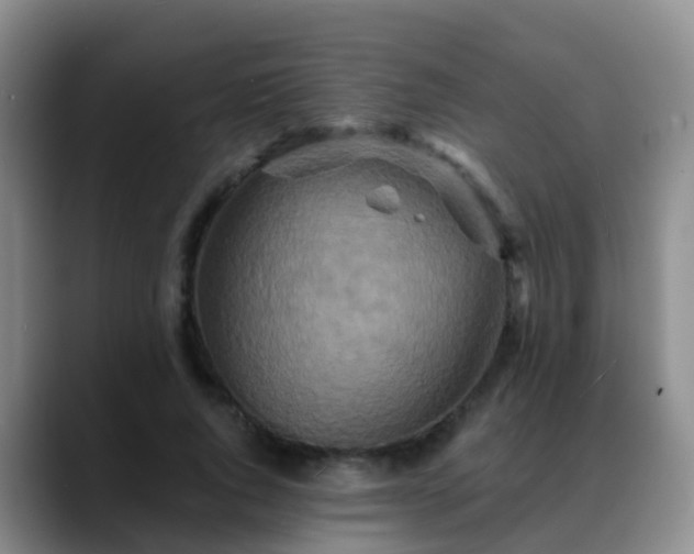 X0000088880736200706151811