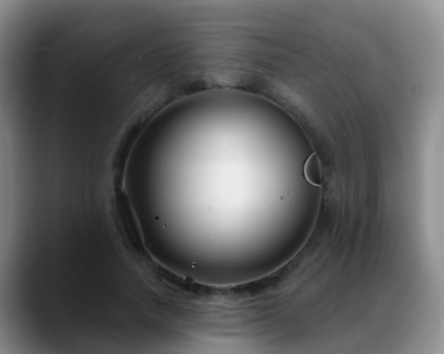 X0000088880738200706151811