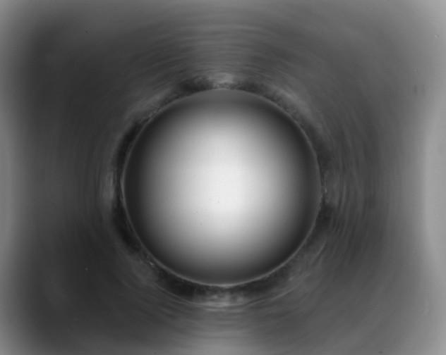 X0000088880740200706151811